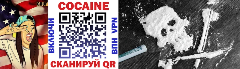 COCAIN FishScale  мега ссылка  Черноголовка 