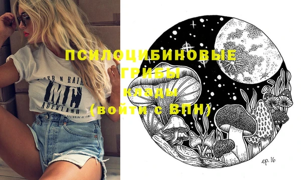 трава Надым