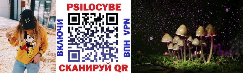 Галлюциногенные грибы Psilocybine cubensis  Черноголовка 
